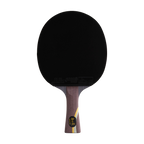 DHS Ma Long Classic Series Table Tennis Racket Set