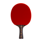 DHS 5 Star Carbon Fiber Table Tennis Racket