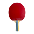 DHS 6 Star Table Tennis Racket