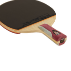 DHS 6 Star Table Tennis Racket